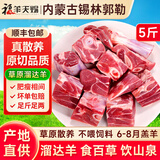 福羊天赐内蒙古羊肉羊排羊蝎子羊腿生鲜年货礼盒 锡林郭勒 真散养 真原切 5斤【尝鲜装】羔羊前腿 切块（肉质鲜美 煲汤红烧）
