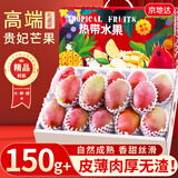 京地达海南芒果贵妃芒礼盒新鲜树上熟 净重8斤单果150g+源头直发包邮