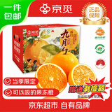 京觅秭归九月红果冻橙爆汁橙子净重9斤单果230g+新鲜水果源头直发包邮