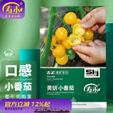 寿禾 圣女果种子小西红柿小番茄大全温室大棚冬春四季种菜蔬菜寿光菜 【清甜好吃】黄妍小番茄种子25粒