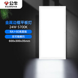 公牛（BULL）厨房灯LED 300*600长方形超薄金属平板灯面板灯卫生间 24W