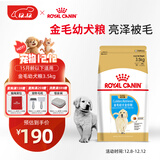 皇家狗粮 金毛幼犬狗粮 犬粮 宠物大型犬 AGR29全价犬粮2-15月龄3.5kg
