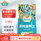德沃多多肉营养土2.5KG阳台种植土壤花土植物颗粒土铺面石(100%颗粒)