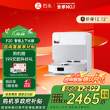 石头（roborock）扫地机器人扫拖一体 P20 自动上下水版 自动集尘洗拖布烘干补水擦地拖地洗地机吸尘器 A1690RR