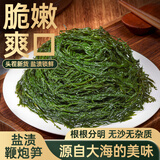 湾琴河 0脂盐渍鞭炮笋250g长寿菜马尾藻凉拌菜麻辣烫火锅食材海草下饭菜