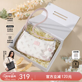 纽芝兰（NUCELLE）包包女2025飞马腋下包高级轻奢侈女生包包单肩斜挎包生日圣诞礼物