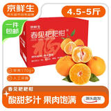 京鲜生 四川春见耙耙柑 净重4.5-5斤年货礼盒 单果170g+ 源头直发包邮