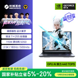 机械革命蛟龙16Pro 潮玩版 16英寸游戏电竞笔记本电脑(R7 H255 16G 512G RTX5050 180Hz灰)