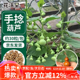花沃里手捻葫芦种子30粒 花卉种子草籽家庭盆栽阳台办公庭院花坛种植