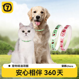 柒哦猫咪项圈猫圈项圈狗狗脖圈宠物用品 新升级绿色【大号适合21-80斤】