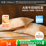 水星家纺枕套牛奶绒冬季双面保暖对枕套抗静电A类枕头罩一对装双人48x74cm