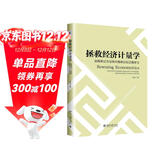 拯救经济计量学：由概率论方法转向概率近似正确学习