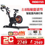 力动（RIDO）动感单车 智能坡度家用单车健身器室内自行车健身车支持zwift顽鹿 CX30（电动正负坡度）