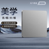 德力西（DELIXI）空白面板 CD821系列 面盖挡板 空白填空面板86型 星辉银大板