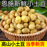楚川恩施小土豆9斤正宗新鲜洋芋迷你黄心土豆湖北马铃薯蔬菜 9斤 大土豆(鹅蛋大以上)