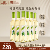 张裕先锋海茵·诗榴花干白葡萄酒750ml*6瓶整箱装 西班牙原瓶进口红酒