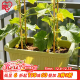 爱丽思（IRIS）种菜盆蔬菜种植箱塑料菜盆特大号阳台种菜神器户外花箱种花菜盆 【2个】中(50cm长)绿色 送隔网
