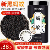 参庆堂 黑蚂蚁干长白山蚁拟黑多刺蚁100g养生泡酒料大蚁酸黑蚂蚁