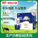 光明【新鲜日期】优加纯牛奶200ml*12盒钻石装3.6g原生乳蛋白礼盒装