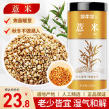 修年堂麸炒薏米500克 贵州小薏米麸炒  炒熟熟薏仁非即食 泡饮养生茶
