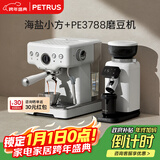 柏翠(petrus) 咖啡机意式浓缩家用小型半自动蒸汽打奶泡 海盐小方PE3833+PE3788 新年礼物