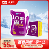 天润新疆特产 浓缩百果香了  180g*12袋  风味发酵乳酸奶酸牛奶生鲜