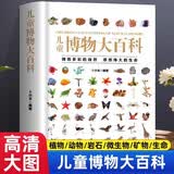 精装大开本 科普百科书 儿童博物大百科 儿童科普百科全书 