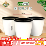 德沃多自动吸水盆3号*3花盆懒人盆可储水创意简约家庭阳台树脂花盆种菜