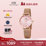 丹尼尔惠灵顿（DanielWellington）DW手表女欧美表简约钢带石英女士手表送女友圣诞礼物DW368