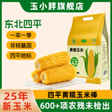 玉小胖25年新黄糯玉米8根1.8kg＞3.6斤 东北甜粘苞米棒真空包装低脂早餐
