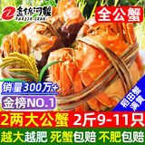 【活蟹】网兜蟹辽宁盘锦河蟹稻田河蟹礼盒螃蟹鲜活大闸蟹无绳净重 全公蟹丨1.8-2.1两【2斤】9-11只（满膏）