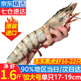 优牧冠越南进口特大号黑虎虾 草虾 冷冻大虾大号对虾夜宵烧烤食材 加大号 1.6斤(净重)  约17-19cm