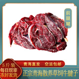 门缘沐然青海牦牛前腱子肉金钱腱 新鲜现杀整切祁连山散养放养草饲2斤起拍 5斤前腿腱子筋多