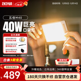 智云五倍M40巨光灯40W手持led补光灯摄影灯视频直播室内婚庆高功率便携口袋柔光灯