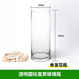 花翁水培绿植室内水养花卉盆栽透明圆柱瓶直径10CM 高度30cm源头直发