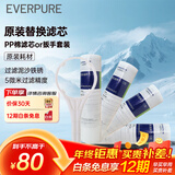 爱惠浦（Everpure） PP棉滤芯4支10吋/5微米加扳手 净水机通用滤芯