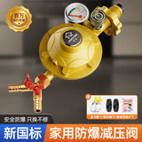 家韵（jiayun） 燃气煤气减压阀液化气防爆低压阀煤气灶安全阀煤气罐阀门 【双插】金色减压阀双-带表