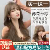 绿宸（2盒装）染发剂膏植萃男女士染头发遮盖白发物泡泡纯染发膏400ml 薄荷米棕 200ml*1盒 771