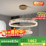 佼佼者（JIAOJIAOZHE）轻奢吊灯智能客厅吊灯现代简约餐厅灯大气新款双圈圆形主厅灯具