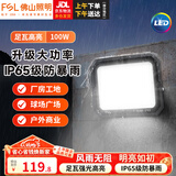佛山照明（FSL）led投光灯射灯户外园林工地照明灯室外探照灯强光IP65防水超亮广告灯 100W泛光灯白光6500K