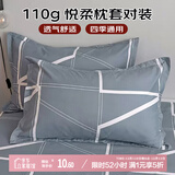 艾薇 枕头套磨毛枕套一对儿童枕套卡通学生单人枕套 格调时代 48*74cm