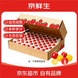 京鲜生 红黄樱桃小番茄120粒1460g 自然熟小西红柿新鲜蔬菜水果源头直发