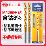 天工（TIANGONG）M42含钴麻花钻头含钴8%霸王钻不锈钢钻头4.2mm【2支装】