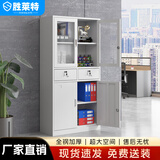 胜莱特自营文件柜档案柜铁皮柜办公柜钢制资料柜储物柜中二斗文件柜