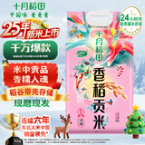 十月稻田 2025年新米 香稻贡米 东北大米 10斤（香米 粳米 5公斤/十斤）