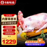 今友牧场内蒙古羊肉整只羊全羊28斤 整只锡盟羔羊生鲜烧烤食材年货节送礼