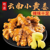 北森南屿云南小黄姜生姜高山土姜月子姜老姜新鲜秋冬季炒菜煮茶炖汤食材 小黄姜净重3斤