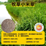 冷落草牧草种子四季多年生黑麦草籽鸡鸭菊苣苏丹草苜蓿草种子猪牛羊高产 【水生小米草】/1斤装（ 鱼/虾/蟹爱吃）