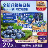 三只松鼠每日蓝莓干256g/16包 无添加水果干果脯小包装儿童老人办公室零食