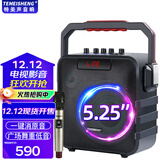 特美声音响SL05-26广场舞户外音响K歌唱歌家用演出大功率便携式手提蓝牙音箱美声话筒移动手提音箱 SL05-26单话筒+歌曲U盘